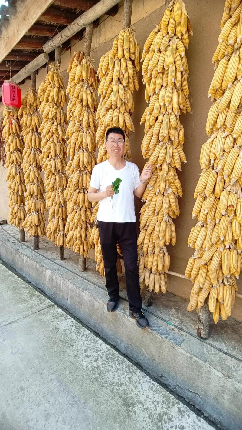 房产新趋势：宝劲房产引领市场变革